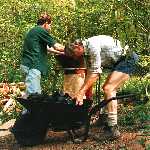barrowing charcoal 